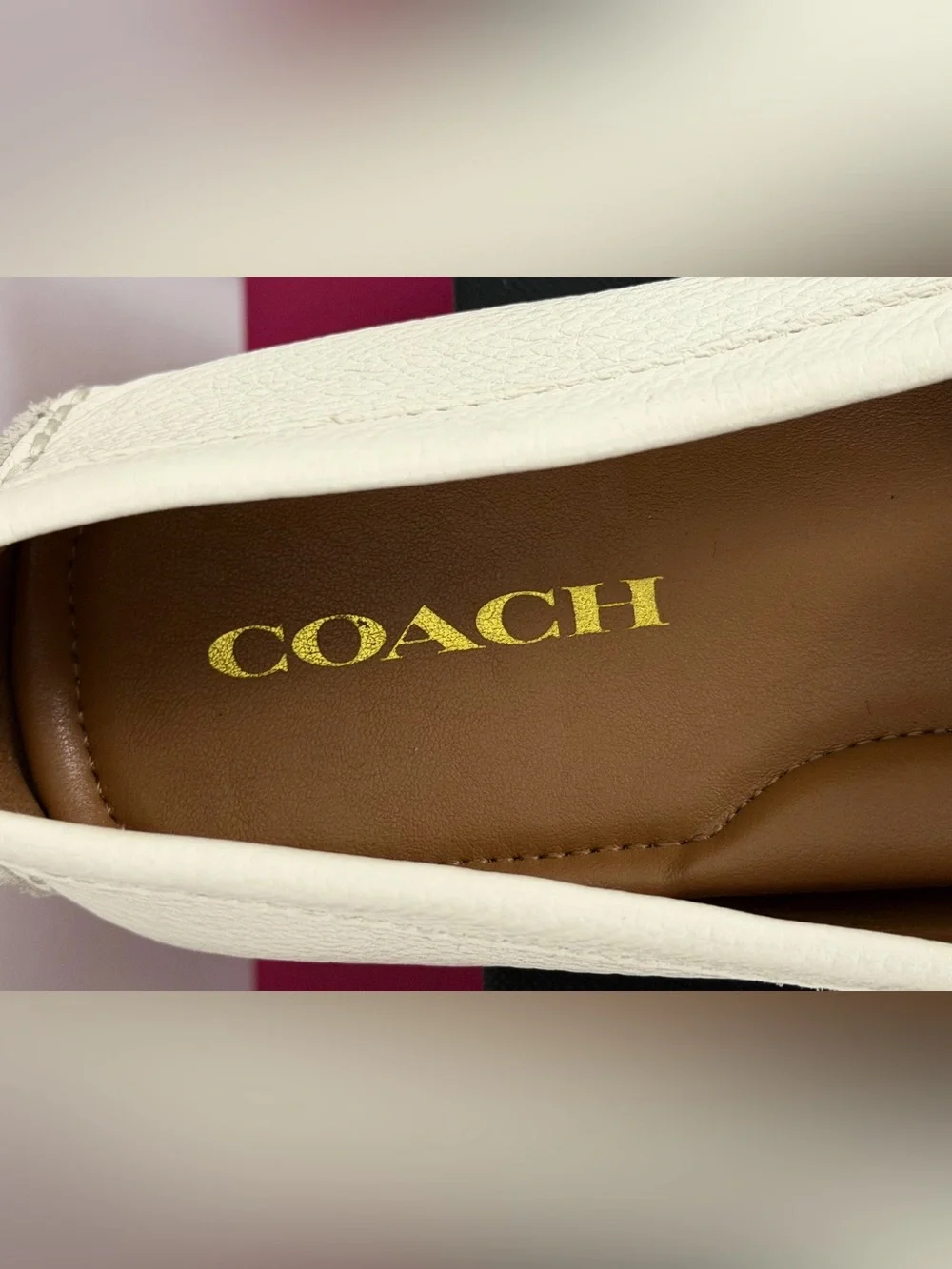 Coach Chalk Colored Pebbled Leather Driving Loafers w/Gold Logo 8.5M/EU 38.5 NIB